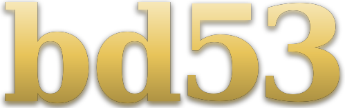 bd53 logo